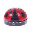 1pc Ladybug Cooking Timer; Mechanical Clock 60 Minutes Cartoon Timer; Kitchen Timer Reminder Baking Clock; No Battery; Kitchen Accessories